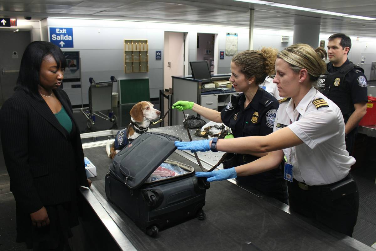 Airport Security 2.jpg